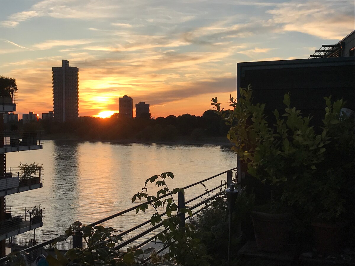 Balkon mit Blick in Richtung Rhein