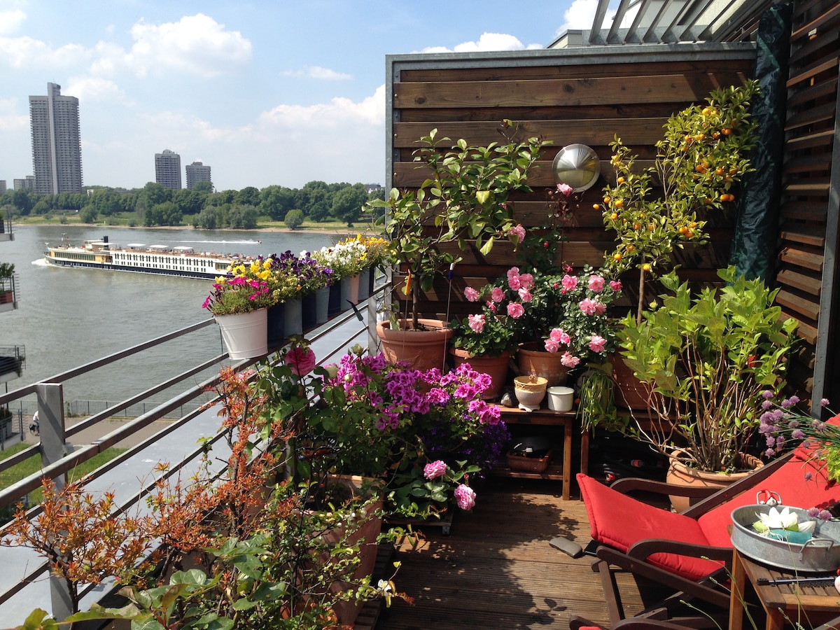 Balkon der Ferienwohnung mit Rheinlage